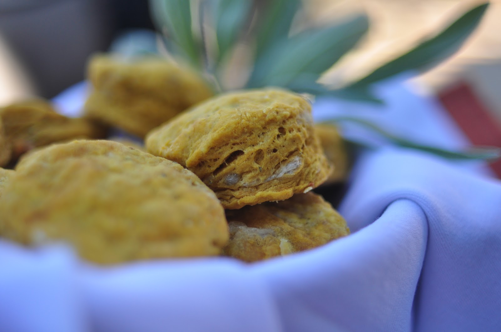 Bite Me Pumpkin, Cheddar and Sage Biscuits