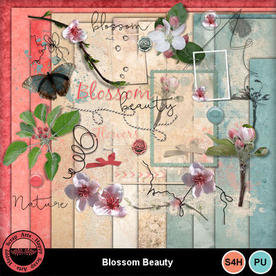May 2019 HSA Blossom Beauty
