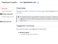 Page Speed