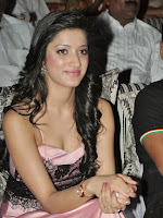 Richa Panai Photos at Lavakusa Audio Release-cover-photo