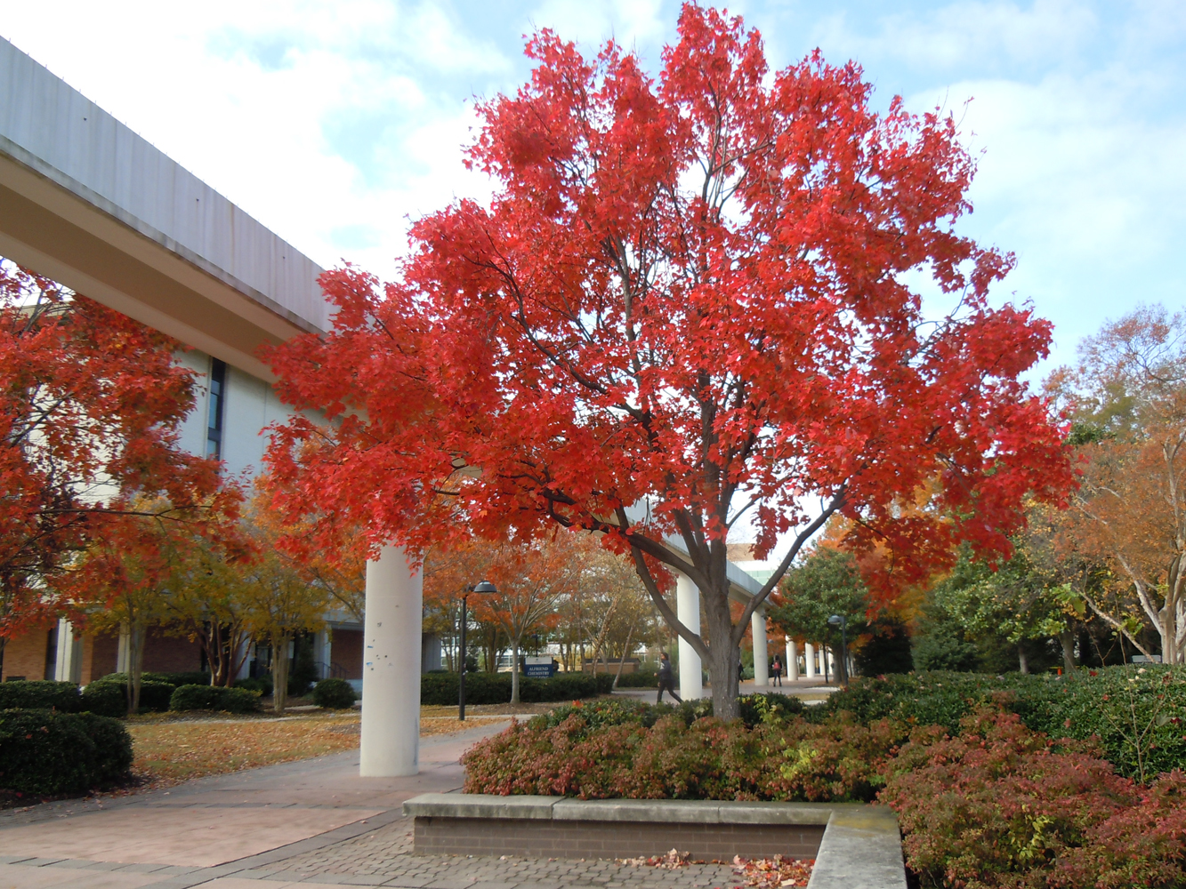 college explorations for the common app its business as usual common application essay 2015 16