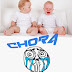CHORA: Não entendo, Gêmeos é muito bipolar!!
