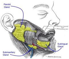 dry mouth syndrome dry mouth syndrome