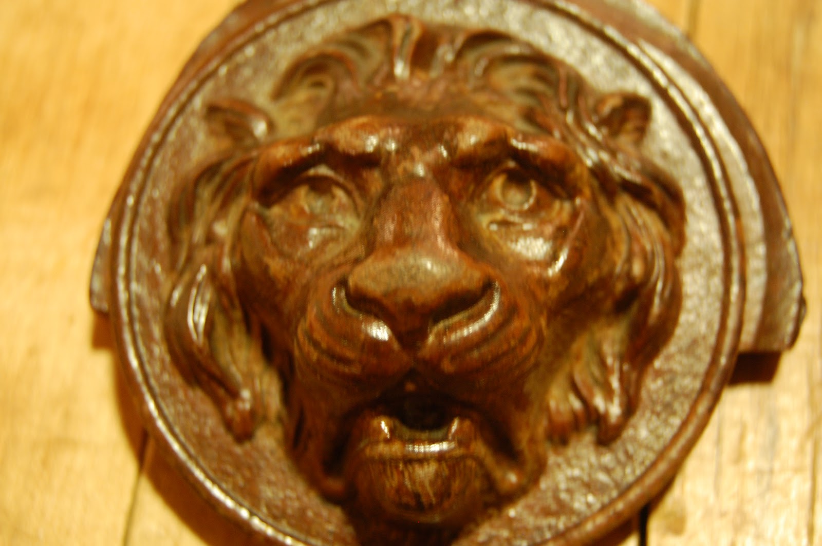 Wunderful Things Carved Wood Lion Medallion