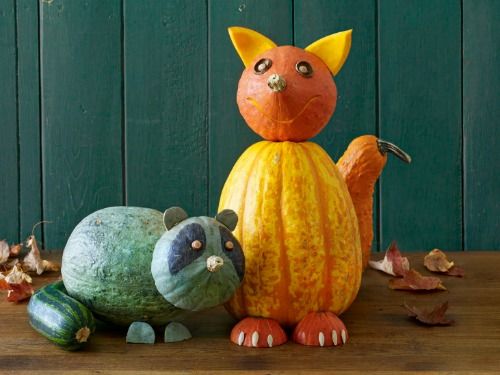 Funny animal pumpkin without carving ideas arts and Funny animal pumpkin without carving ideas arts and