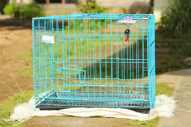 kandang kucing 60cm 372412 kandang kucing 60cm 372412