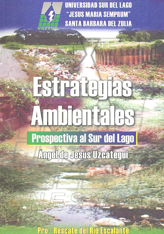Libro Estrategias Ambientales.
