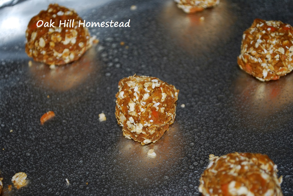 How to Make Molasses Horse Treats Oak Hill Homestead