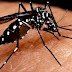 Secretaria de Saúde de Prata alerta para os cuidados com a dengue