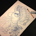 Owl drawing