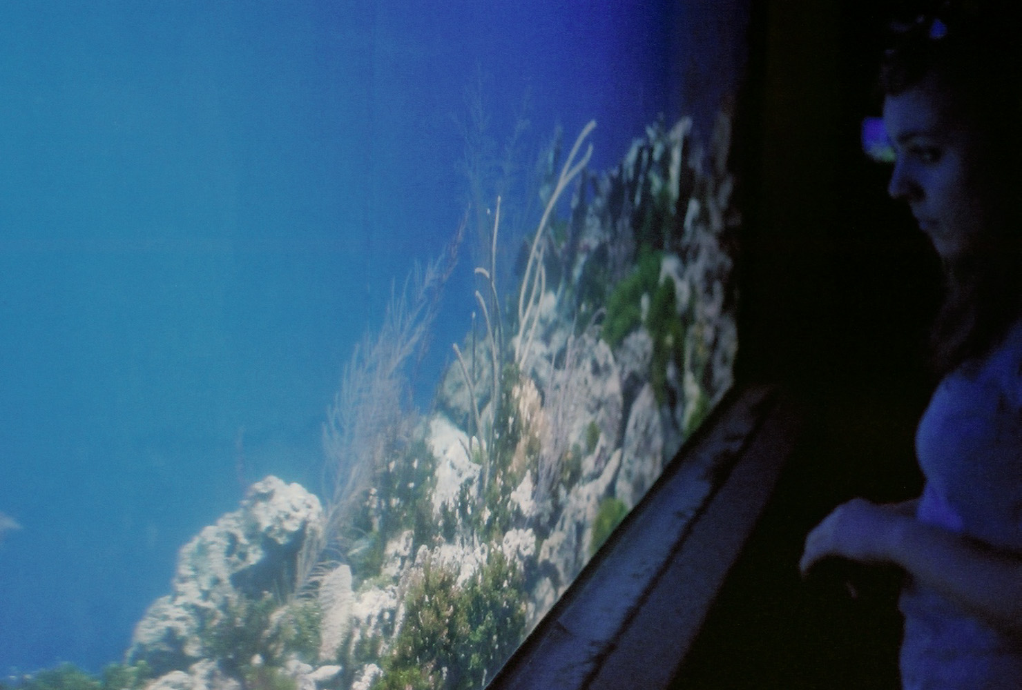 selection of light aquarium film