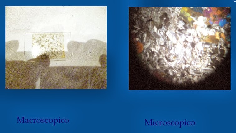 de lo microscopico a lo macroscopico