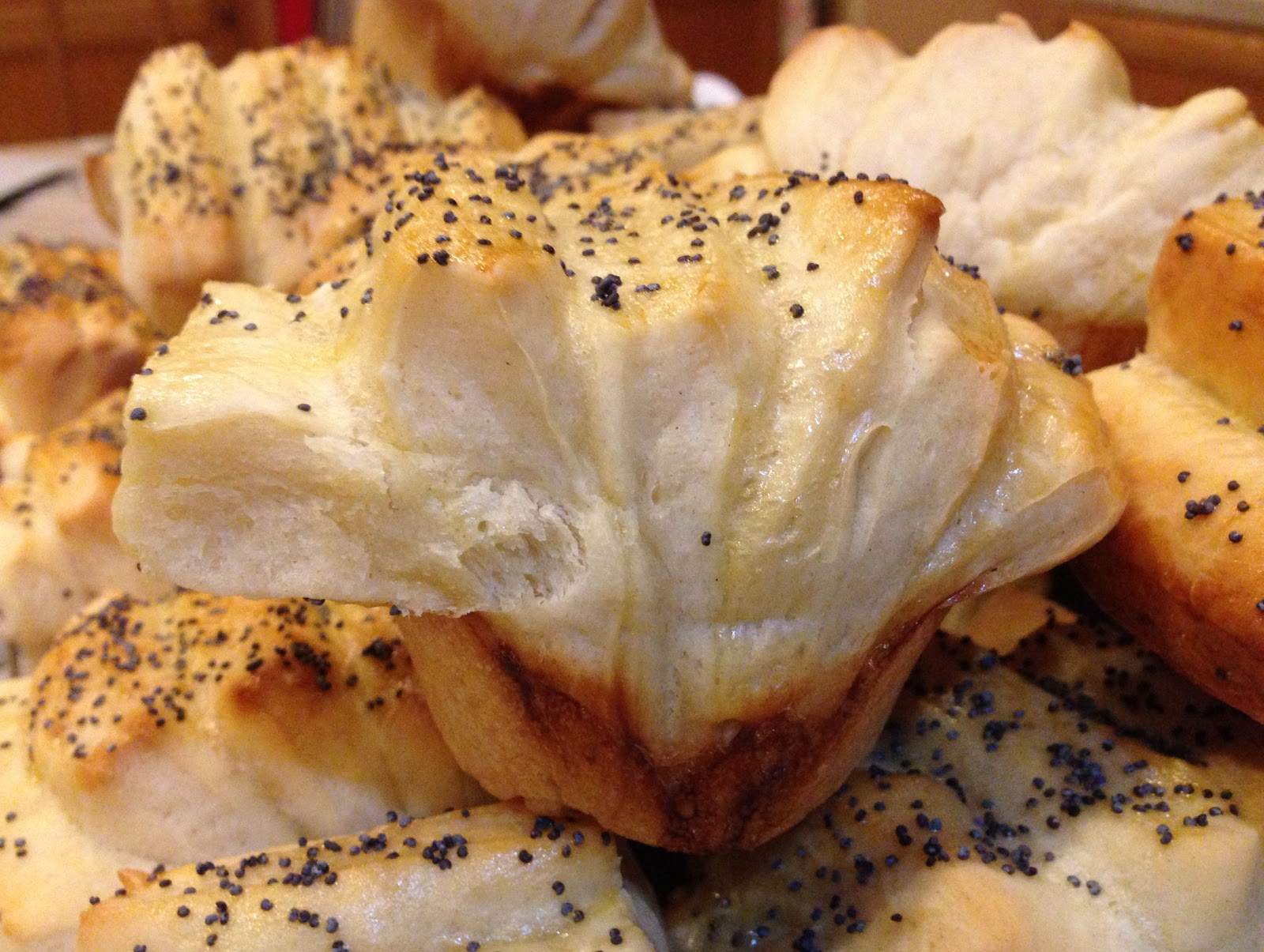 Eat, Run, Read Poppy Seed Dinner Rolls