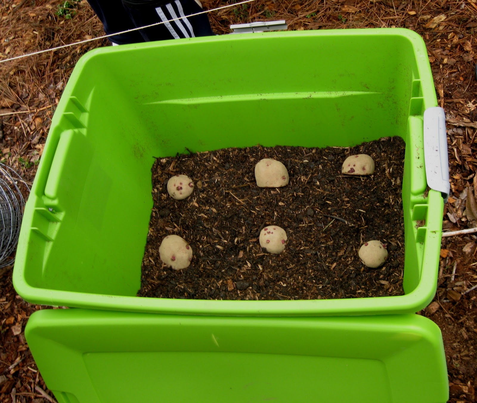 Green Meadows Community Garden Potato Totes & Bags