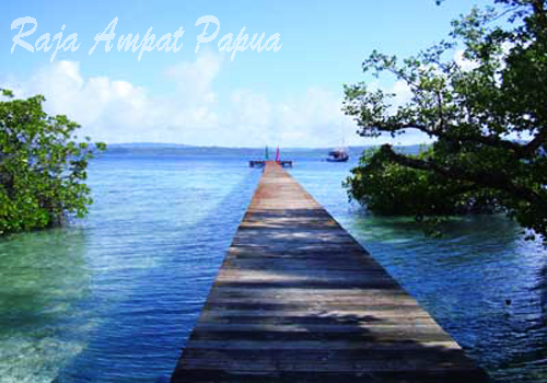 Menikmati Keindahan Pemandangan Bawah Laut Di Kepulauan Raja Ampat Kepulauan Raja Ampat