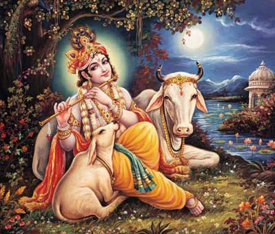 The cow in Hinduism - by Vyasar disciple of Jagadguru Kripaluji Maharaj