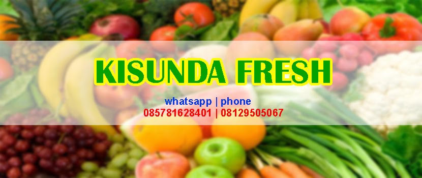 Belanja Sayur Online Bogor | 08129505067
