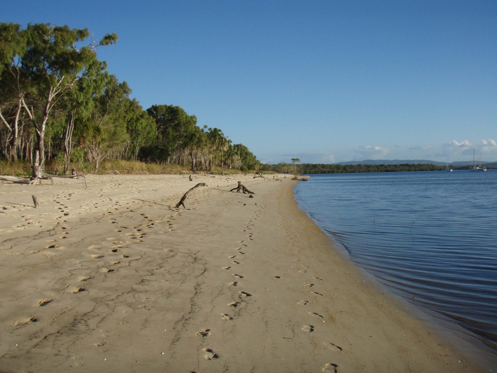 A Stitch In Brine Bundaberg, Pancake Creek, and the Amazing Percy's