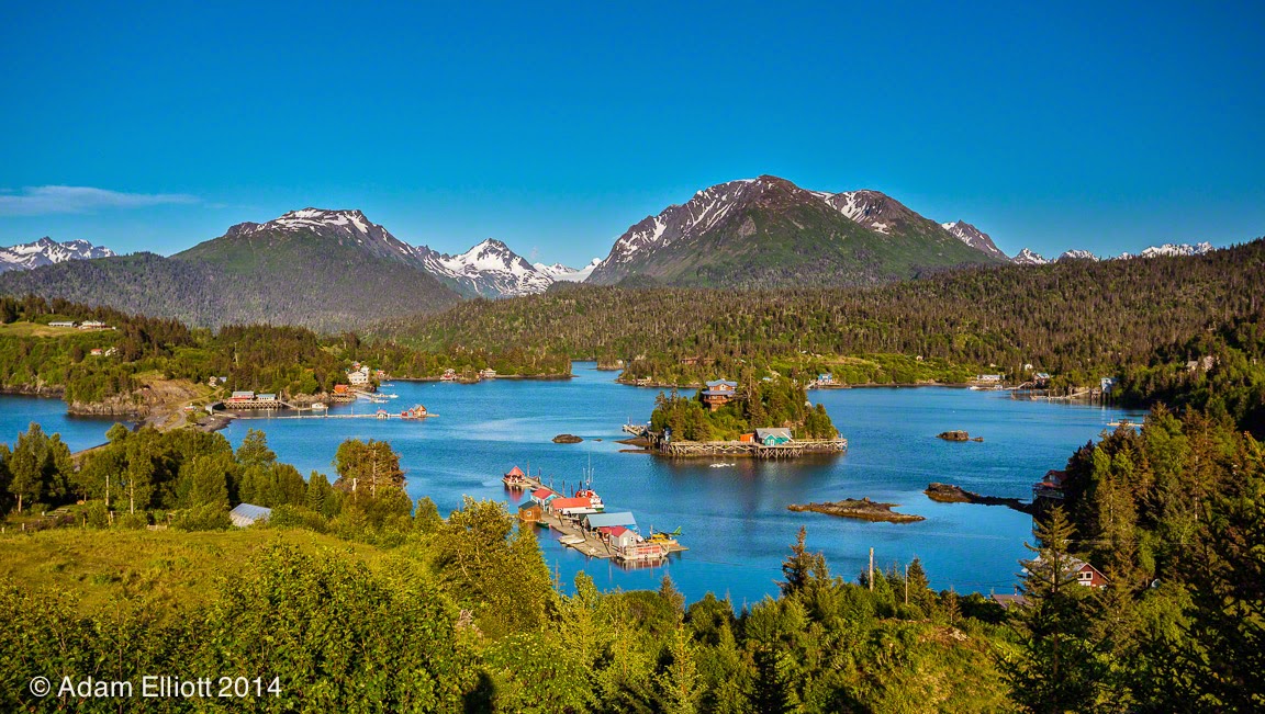 Atom's Picture Blog Halibut Cove, Alaska