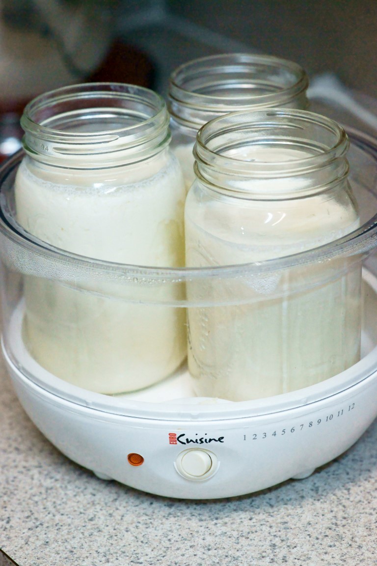 Photo Adventures Making Specific Carb Diet Yogurt is Easier Than I Thought