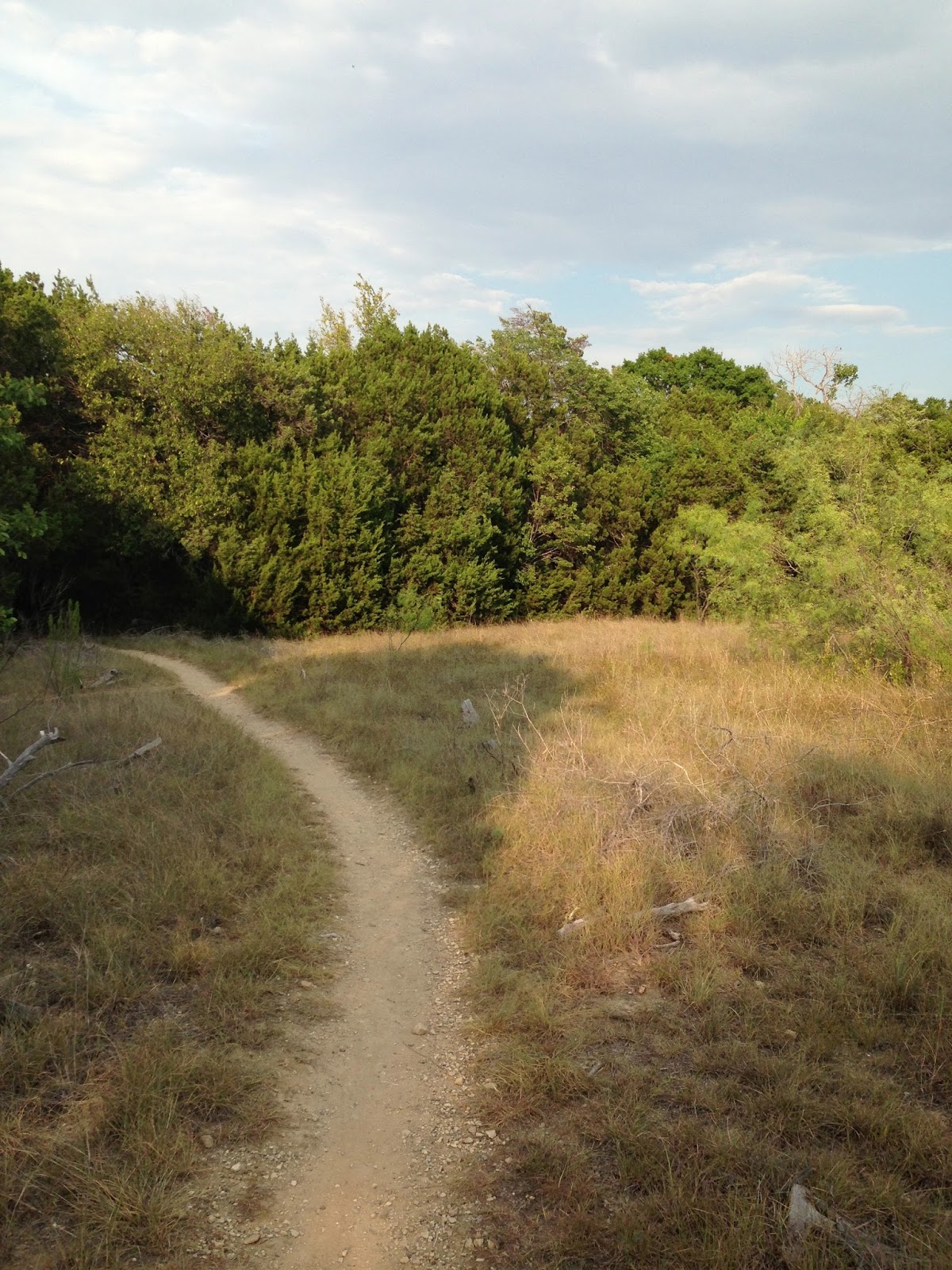 The Roaming Itinerant Woodway Park (Waco, TX)
