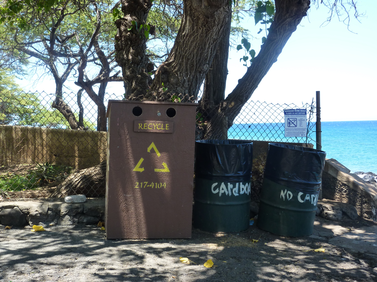 Me and My Green Bin The Green and Kohala Coast of Hawaii
