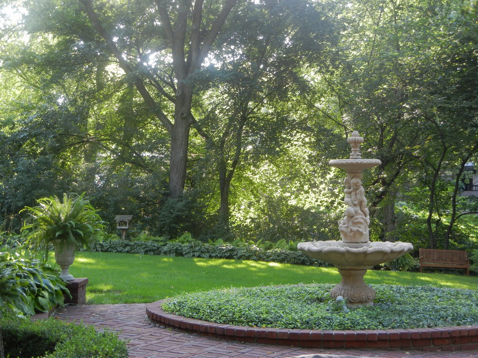 The French Tangerine kelly's garden