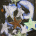 Stars in the Night Sky by 1st grade