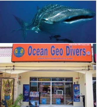 ocean Geo divers 