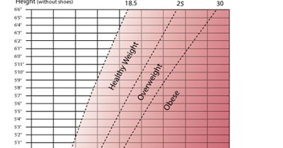 morbidly obese chart health for all body mass index chart for child