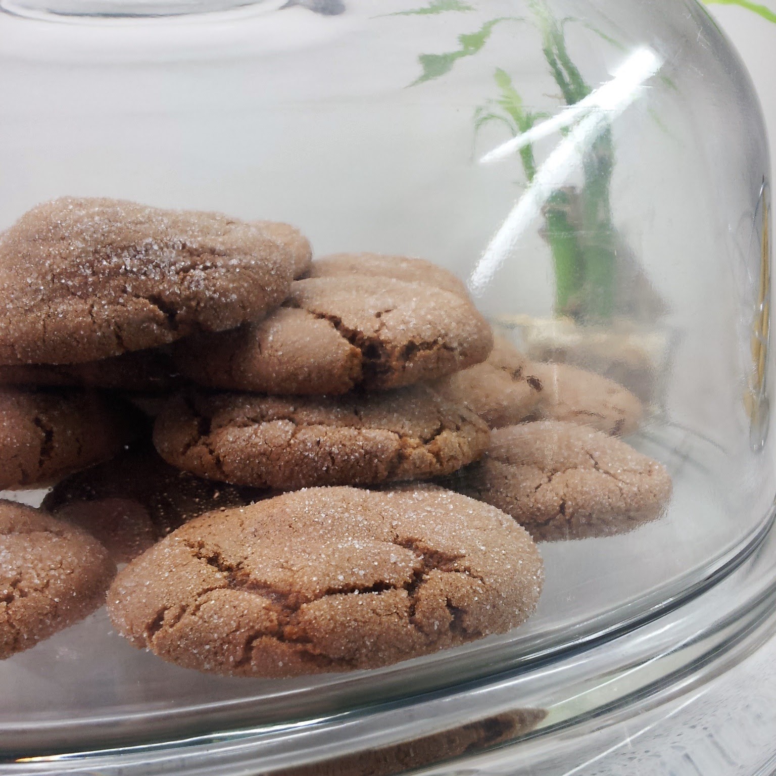 Laughter and Lemons Whole Wheat Gingerbread Cookies