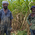 @VICE PRESENTS EPISODE TWO OF RUM, GUNS, & GALLOWS SERIES: BLACKBEARD