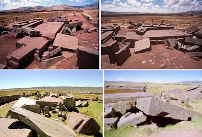 new lesbian dating app