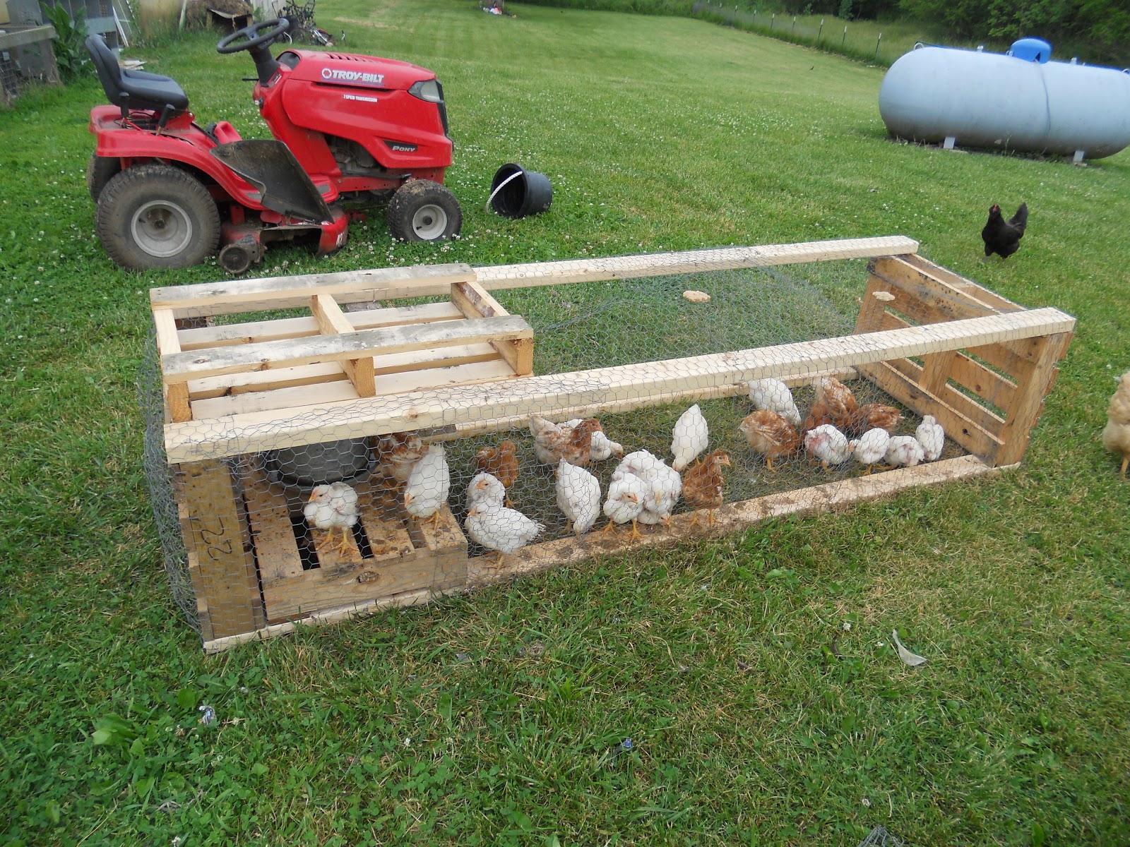 In this picture I used another pallet for the lid. I meant to build a ...