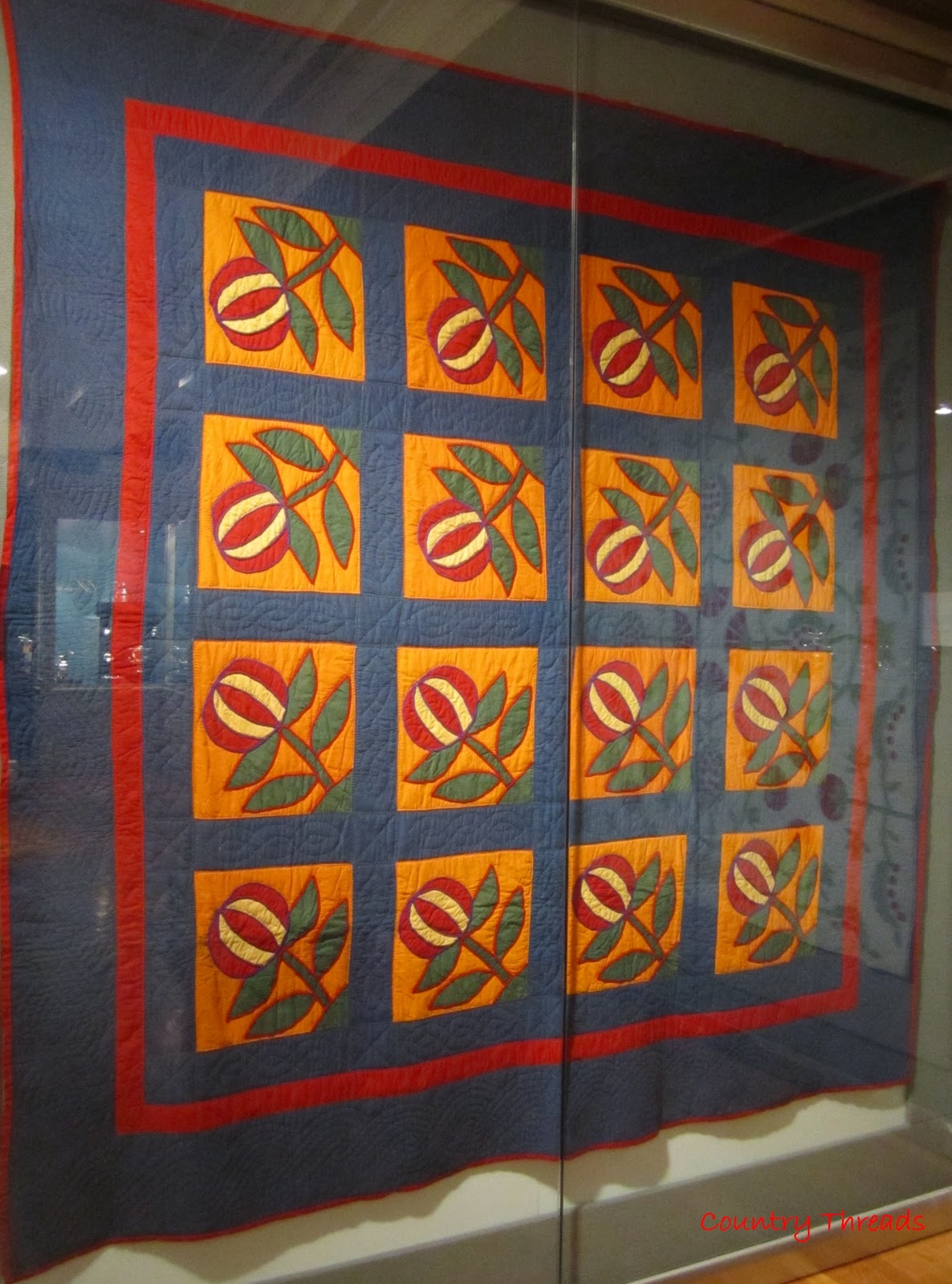Country Threads Quilts from the DAR Museum, Washington DC