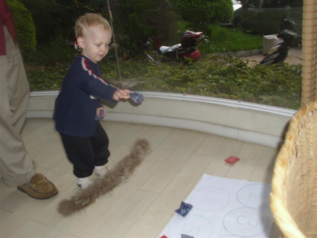 The DoItYourself Mom Olympic Ring Bean Bag Toss