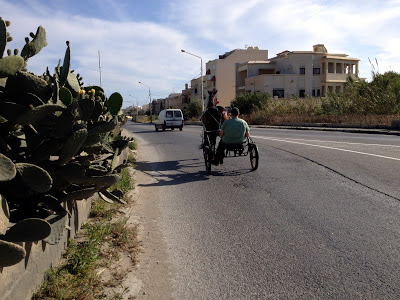 qrendi horse riding