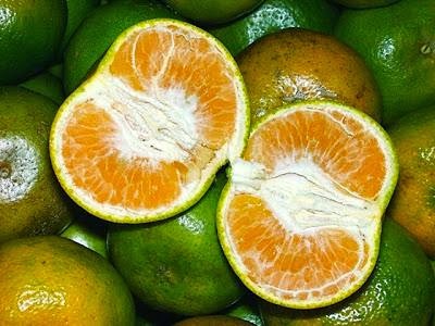 Buah Jeruk 7 Manfaat Buah Jeruk Bagi Kesehatan
