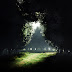 Darkness