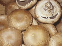 Commercially harvested wild edibles Mushrooms