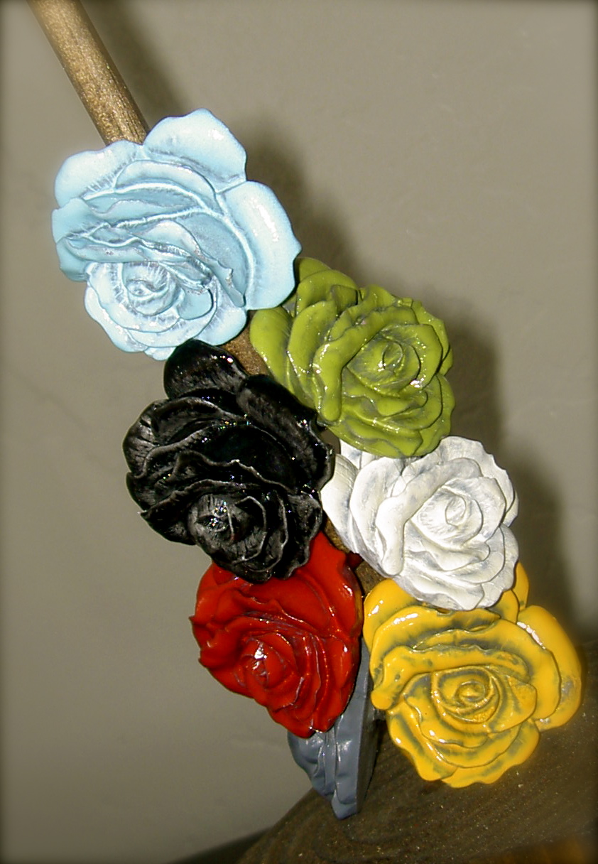 Chapman Place Shower Curtain Rings...Rings