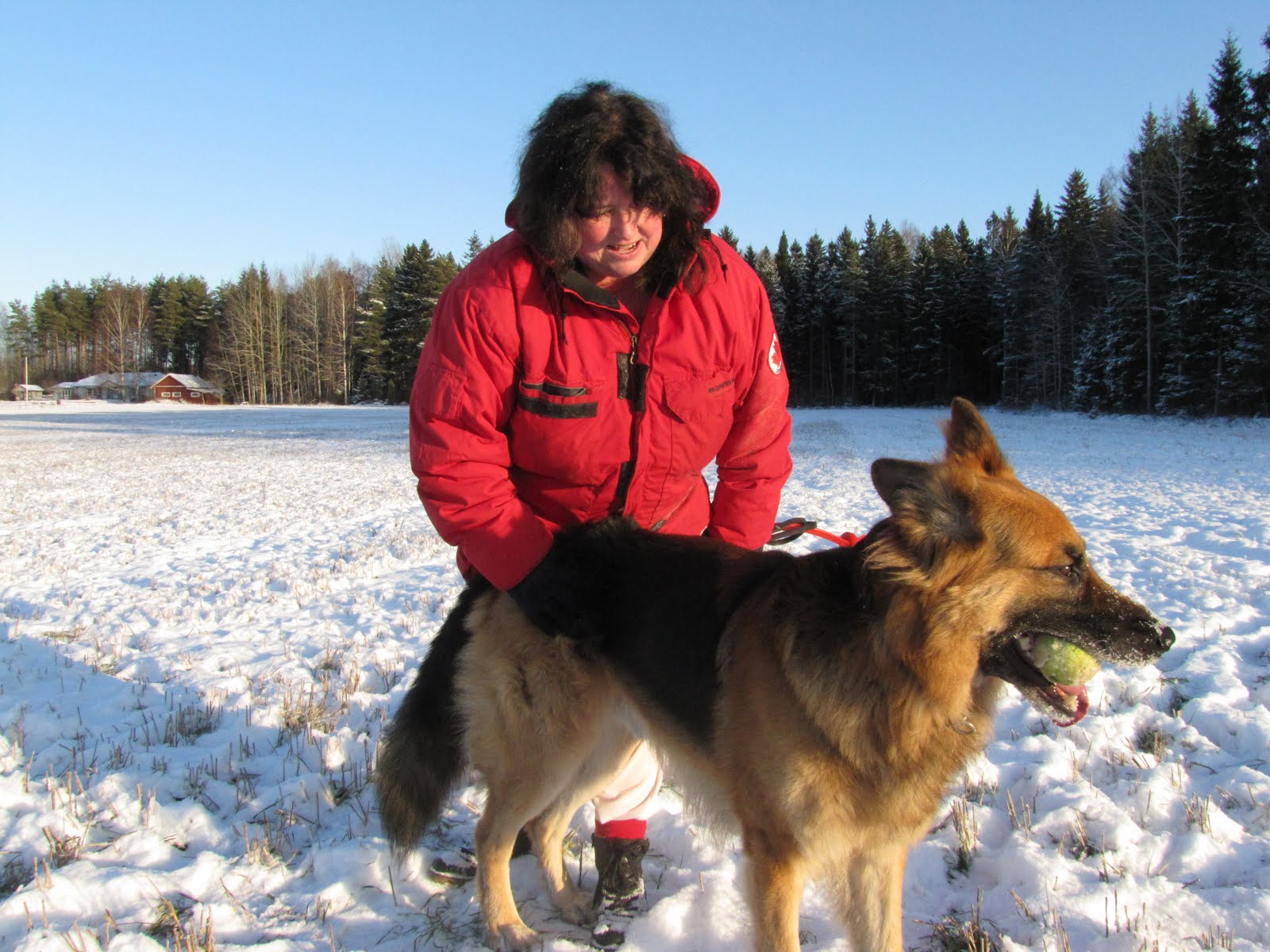 Sex med hund Sex med hund