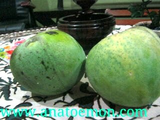 Anatoemon Mangga Apel