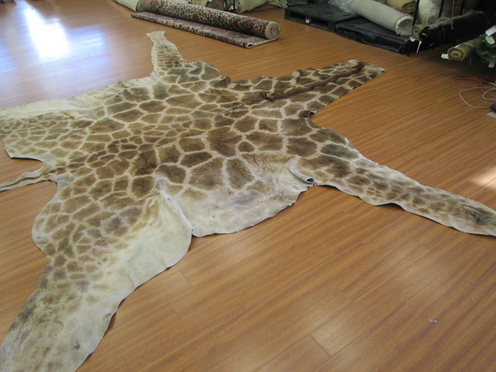 Rug Master Giraffehide Giraffe Hide Cleaning and Repair, Restoration