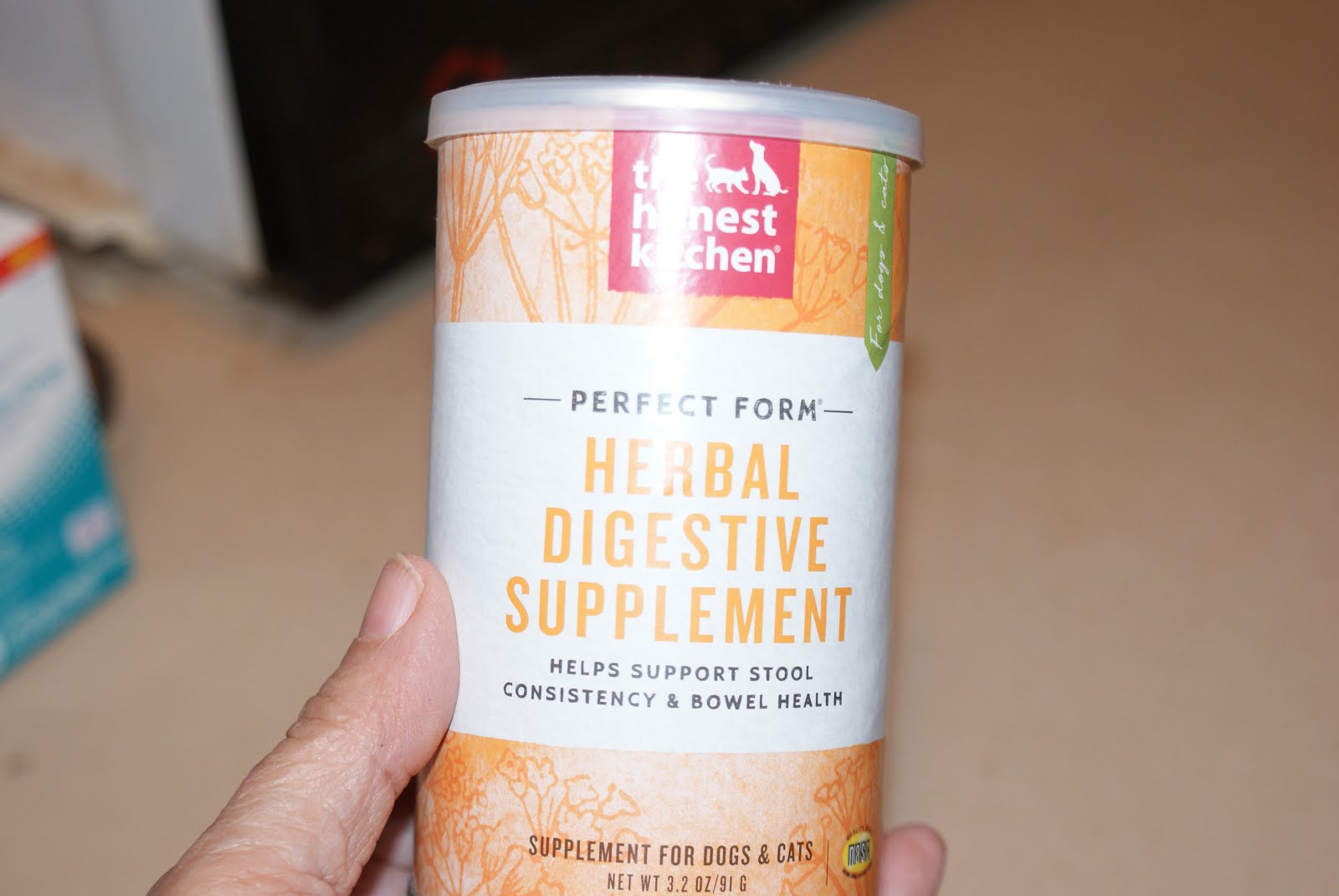 The Portuguese Water Blog Noah S Miracle Chewy Influencer