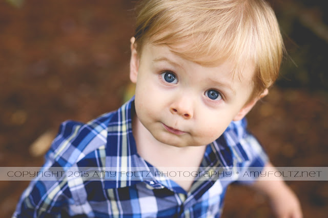 photo of toddler boy