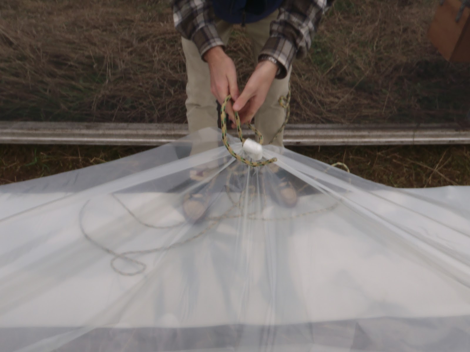 Have You Ever Picked A Carrot? Simple Greenhouse Innovations Growing