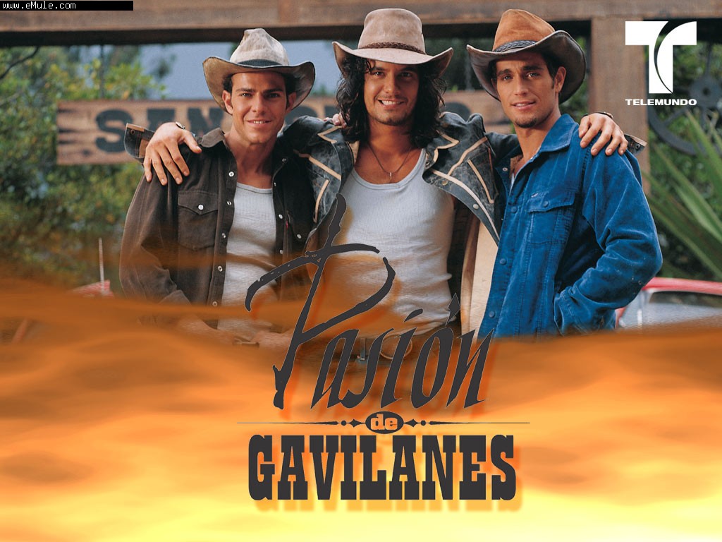 FOTO DE PASION DE GABILANES foto de pasion de gabilanes: