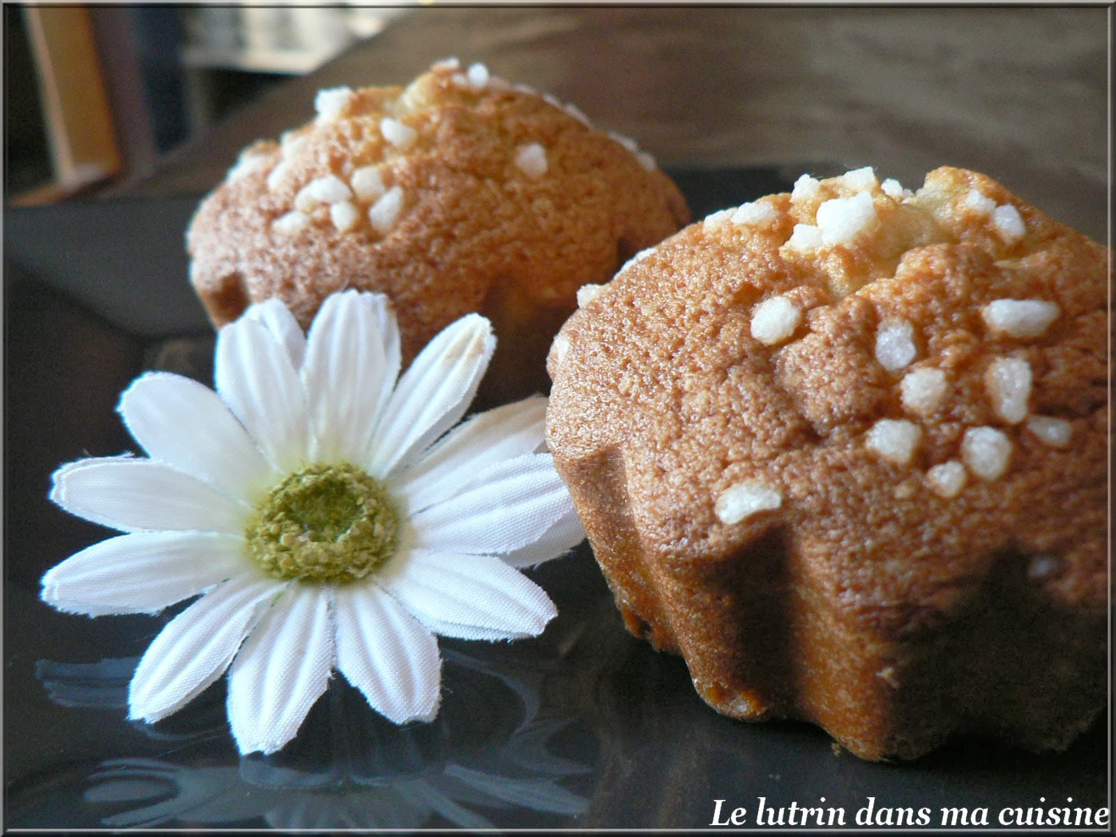 Le lutrin dans ma cuisine MADELEINES FACON MUFFINS FINITION CHOUQUETTES
