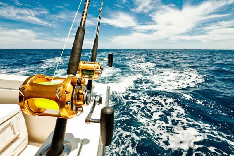 Chill Out Fishing Charters Brisbane